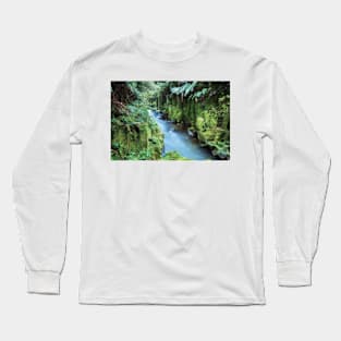 Whirinaki Forest Long Sleeve T-Shirt